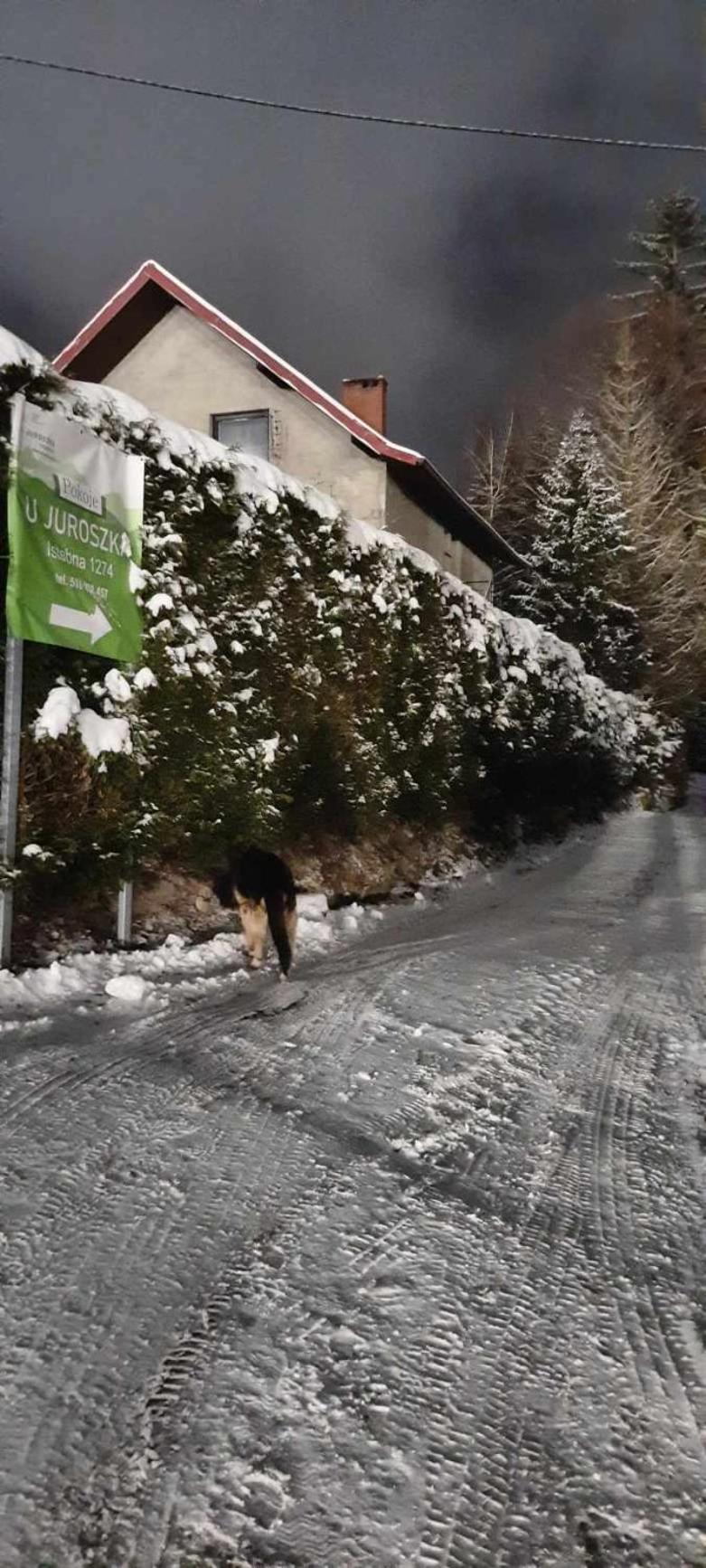 Pokoje U Juroszka Istebna Exterior foto